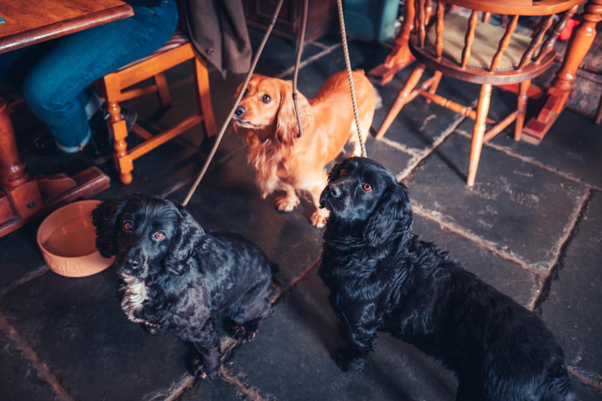 The White Horse Inn Bunkhouse Threlkeld Esterno foto
